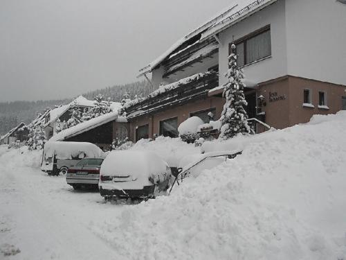 Haus Hubertus Hotel Winterberg Exterior photo