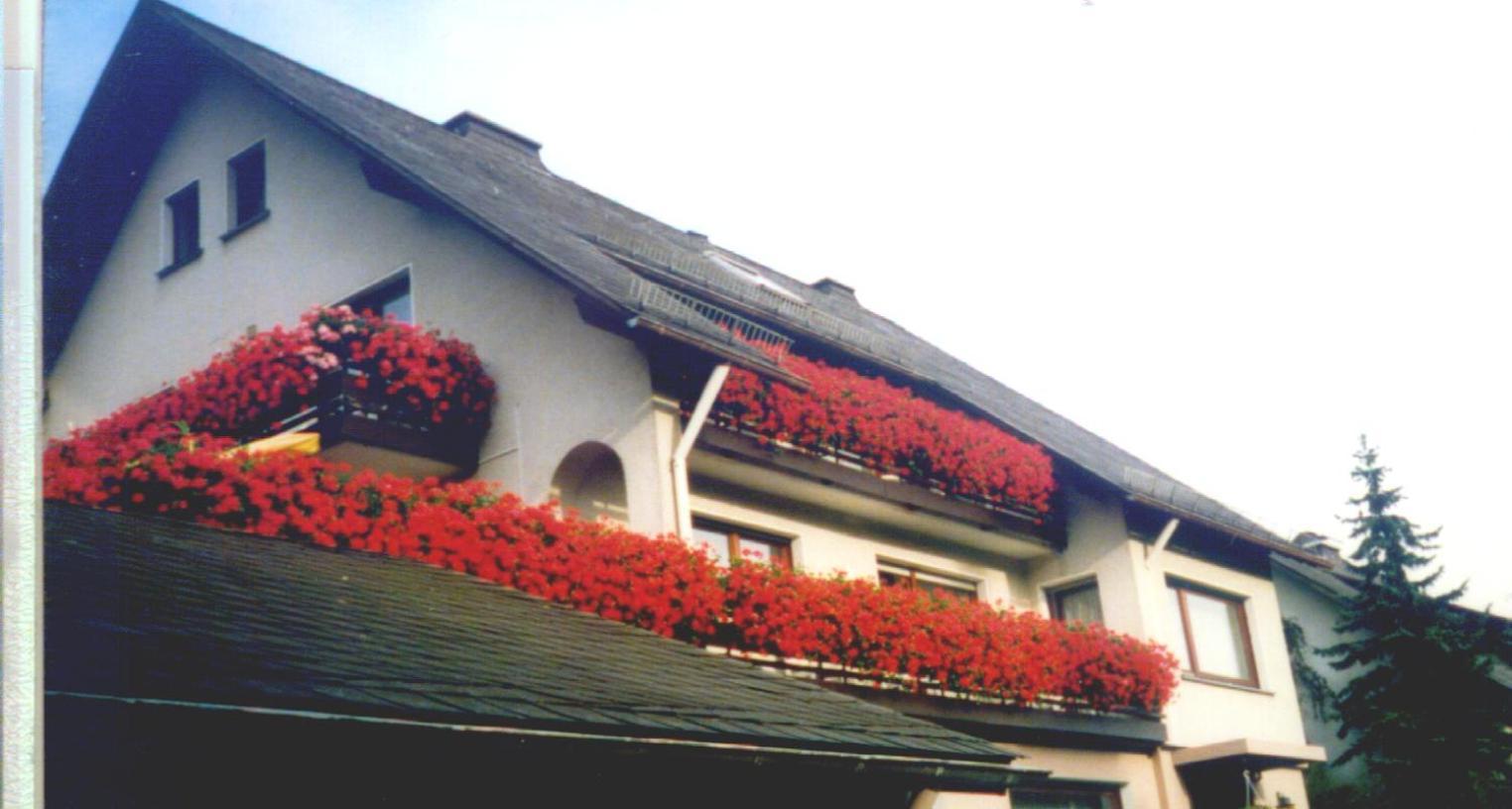 Haus Hubertus Hotel Winterberg Exterior photo